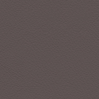 Noblessegrey